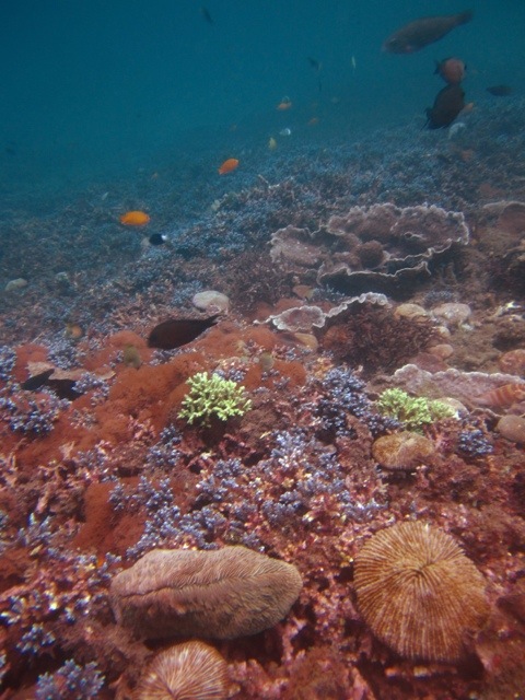 20111107-210844.jpg