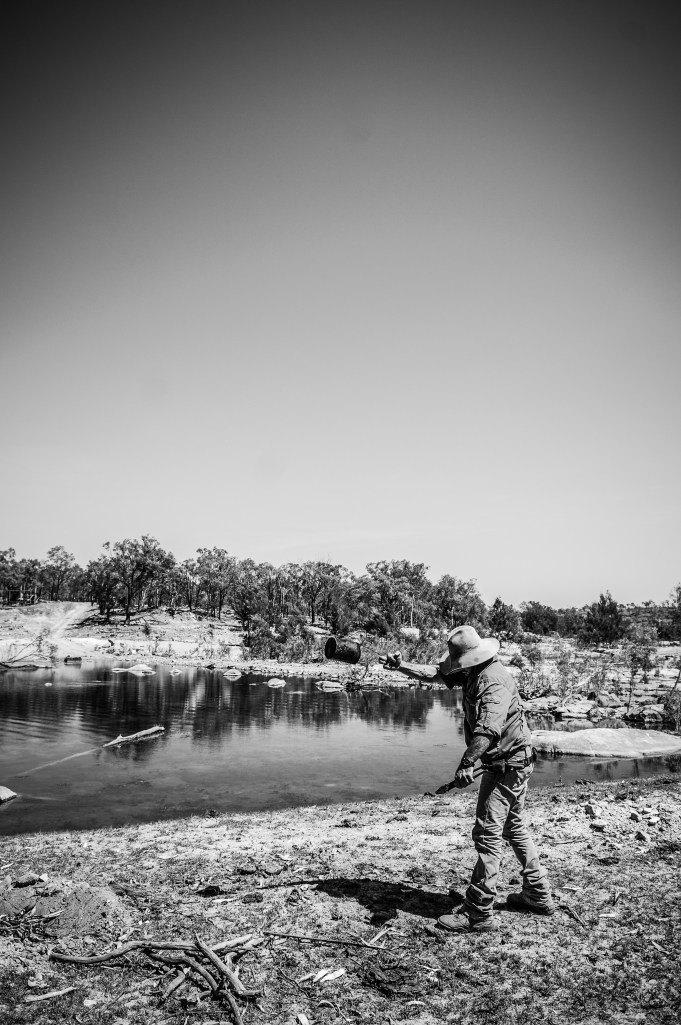 Bodalla - December 2013-13