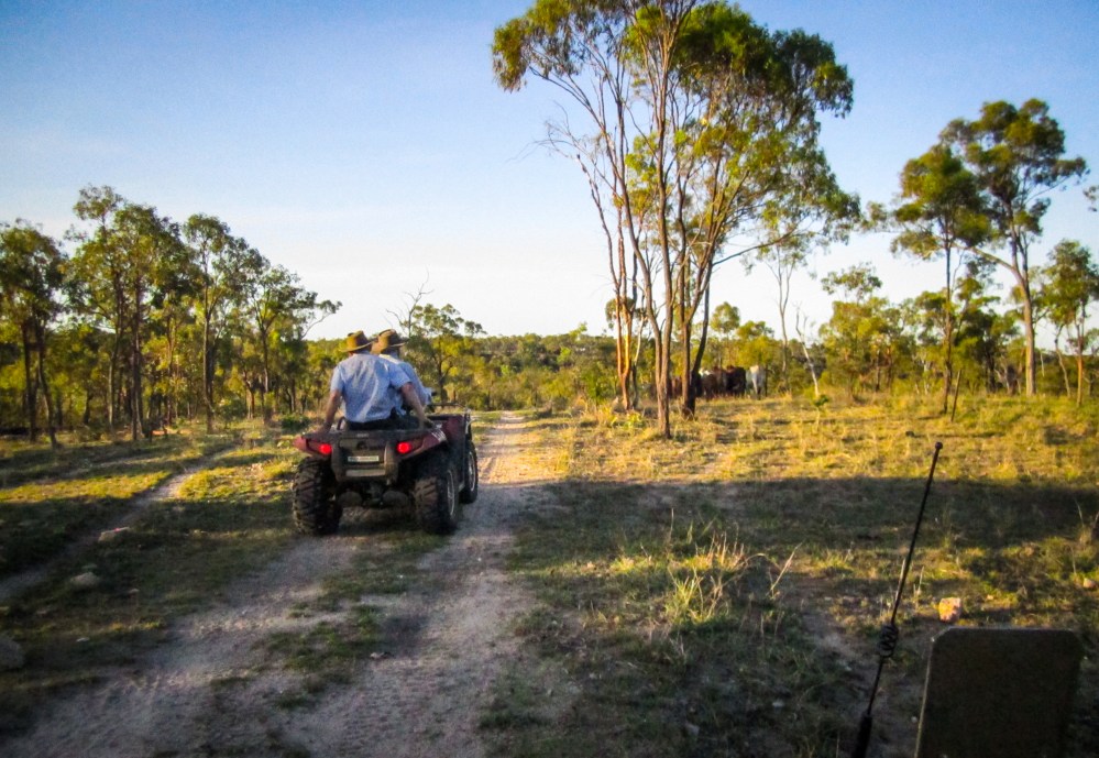Bodalla - December 2013-33