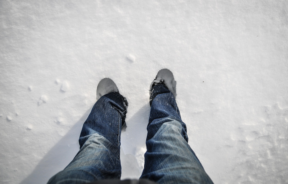 Holyland - Waterbury, CT