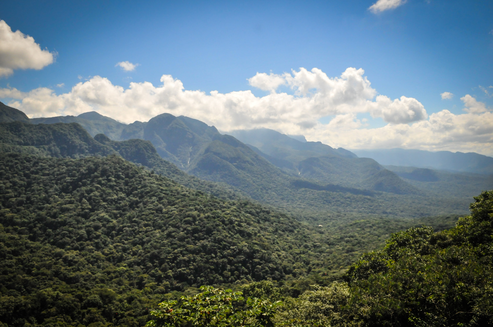 Brazil - Serra Verde-12