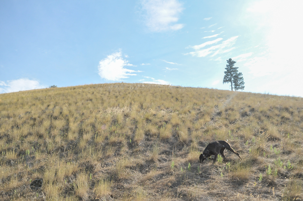 Chicago to Portland-29