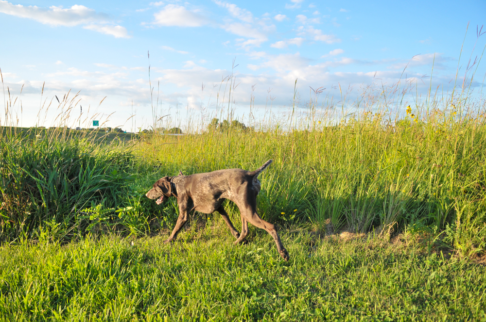 Chicago to Portland-8