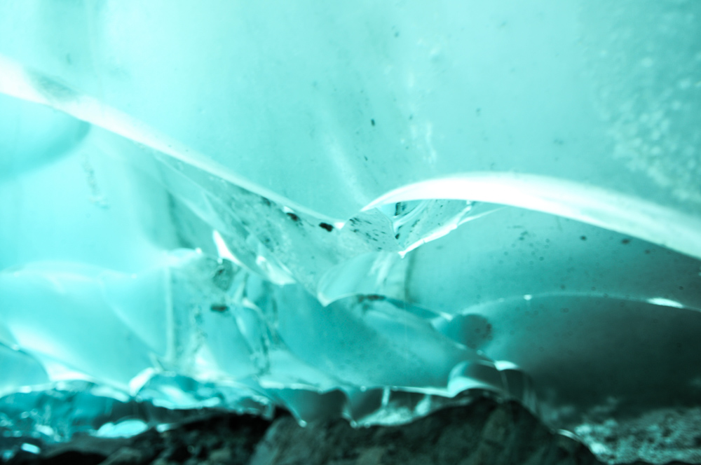 Juneau and Mendenhall Glacier - Alaska-16