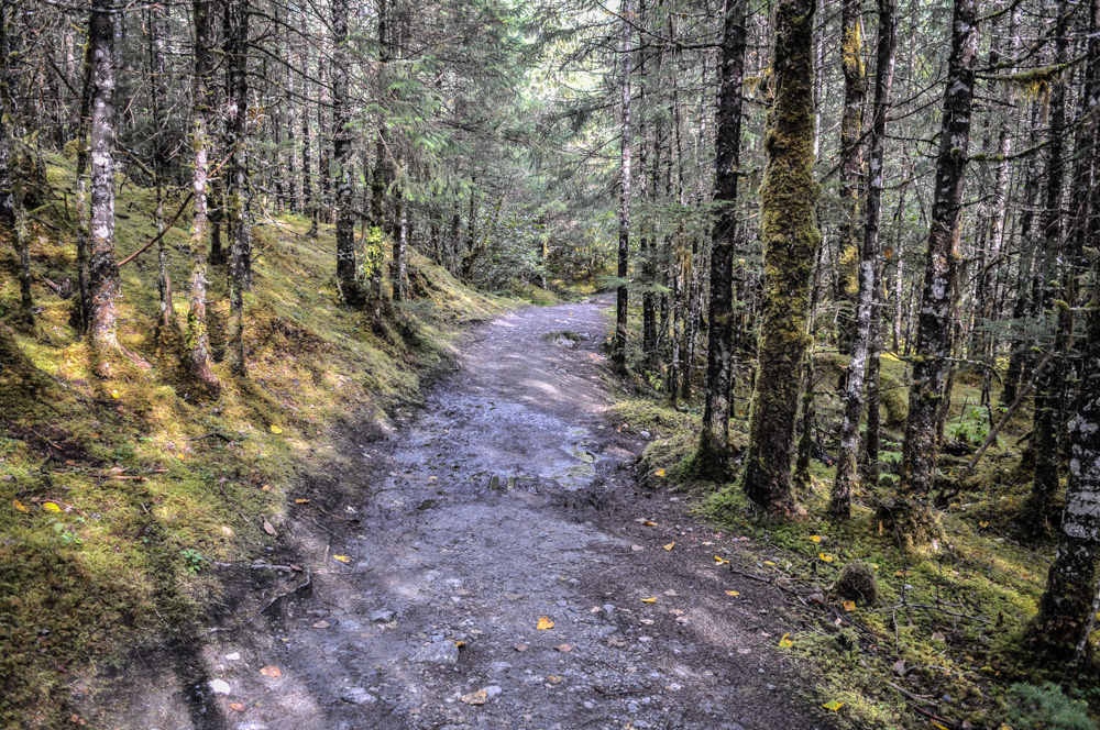 Juneau and Mendenhall Glacier - Alaska