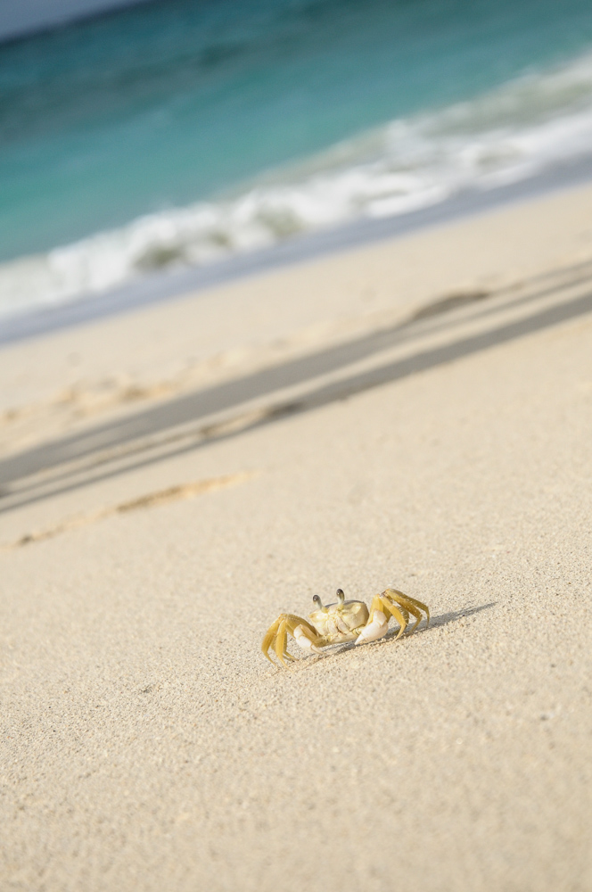 Lighthouse Hike - Nassau-10