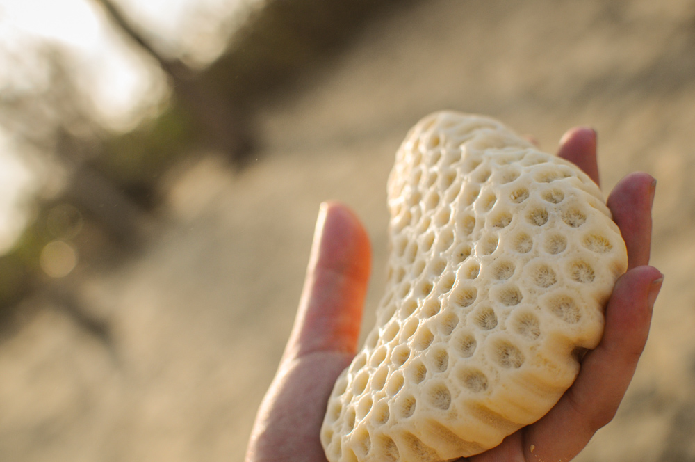 Lighthouse Hike - Nassau-14