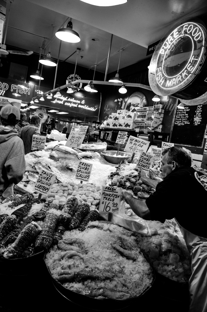 Seatlle, WA - Aug 15-6