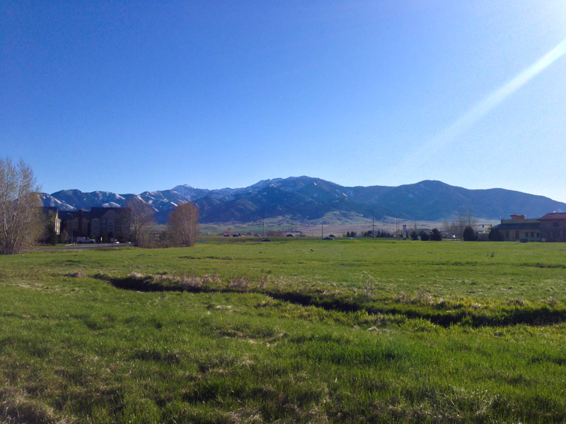 Bozeman